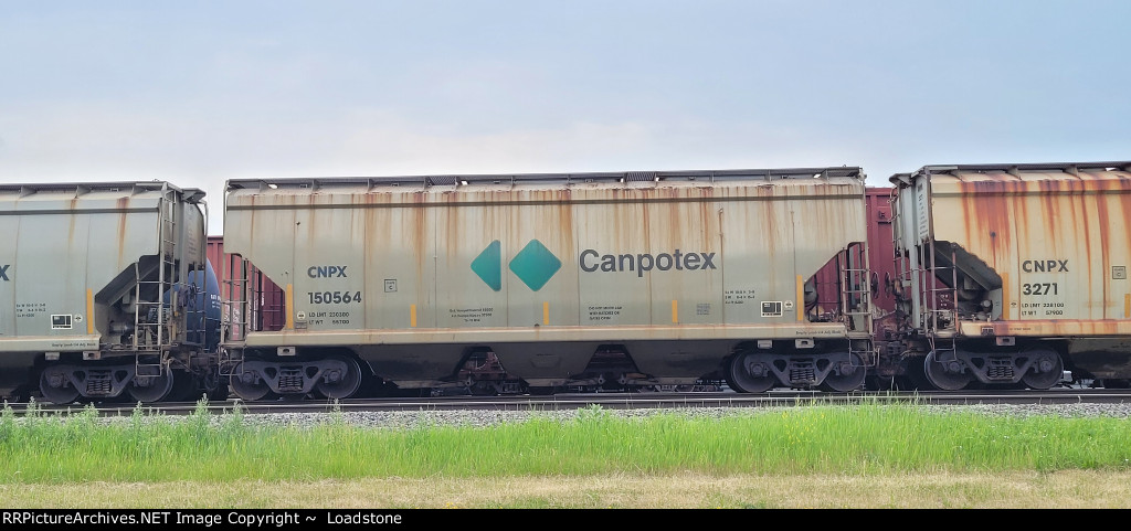 CNPX 150564